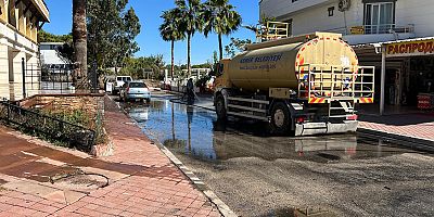Kemer’de yeşil alanlarda bakım çalışması
