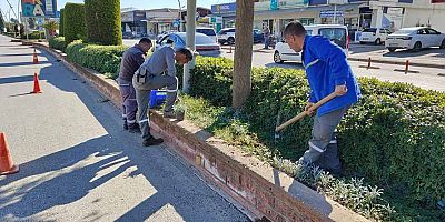 Kemer’de yeşil alanlarda bakım çalışması