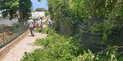 Kemer’de yeşil alanlarda çalışmalar 