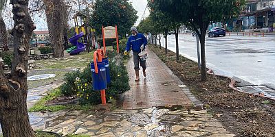 Kemer'de yeşil alanlarda gübreleme çalışmaları