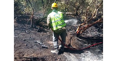 Kemer’deki orman yangınına müdahale sürüyor
