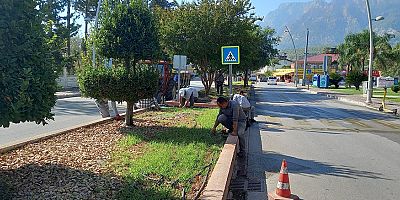 Kemer’deki yeşil alanlarda bakım çalışmaları 