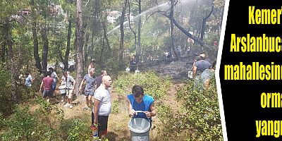 Kemer'in Arslanbucak mahallesinde orman yangını
