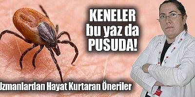 Keneler Bu Yaz da Pusuda! Uzmanlardan Hayat Kurtaran Öneriler
