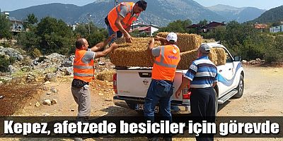 Kepez, afetzede besiciler için görevde
