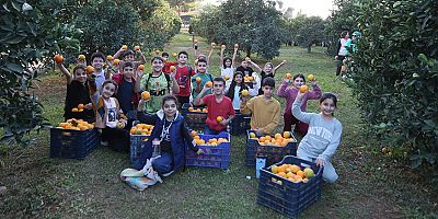 Kepez Belediyesi, Dokumapark’tan toplanan portakalları ilçe halkıyla paylaştı