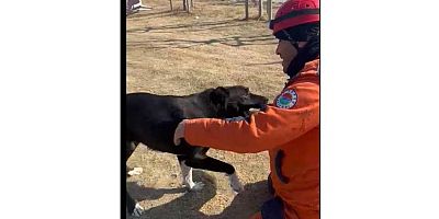 Kepez Belediyesi enkazdan kurtardığı köpeği sahiplendi