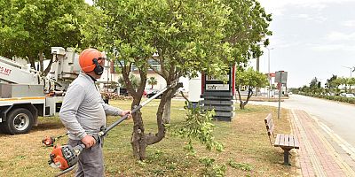Kepez’de Gazi Bulvarı’ndaki parkların bakımı yapıldı