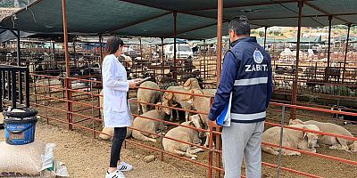Kepez’de kurban satış ve kesim yerleri denetim altında
