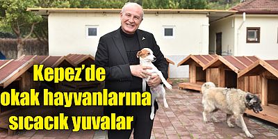 Kepez’de sokak hayvanlarına sıcacık yuvalar