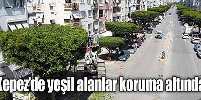 Kepez’de yeşil alanlar koruma altında