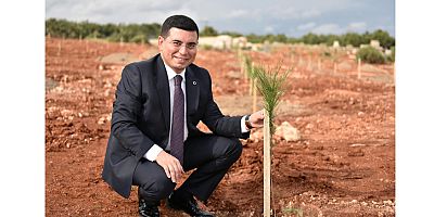 Kepez’de zeytin seferberliği 