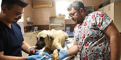 Kepez’den can dosta sıcacık dokunuş