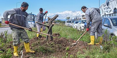 Kepez’den doğaya saygı