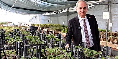 Kepez’den kurakçıl peyzaj hamlesi