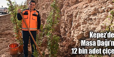 Kepez’den Masa Dağı’na 12 bin adet çiçek