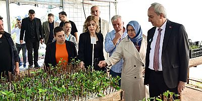 Kepez’i kendi yetiştirdikleri bitkilerle yeşillendiriyorlar