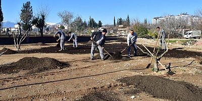 Kepez’in Ay Deresi yeşilleniyor