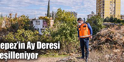 Kepez’in Ay Deresi yeşilleniyor