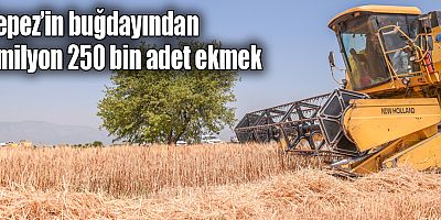 Kepez’in buğdayından 1 milyon 250 bin adet ekmek