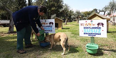 Kepez’in can dostları emin ellerde