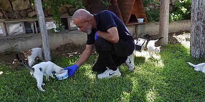 Kepez’in can dostları emin ellerde