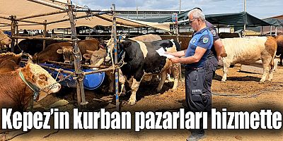Kepez’in kurban pazarları hizmette