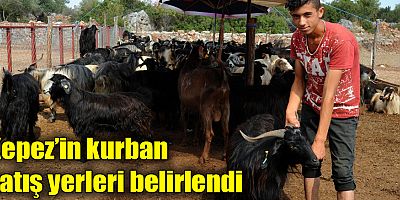 Kepez’in kurban satış yerleri belirlendi