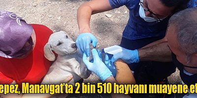 Kepez, Manavgat’ta 2 bin 510 hayvanı muayene etti