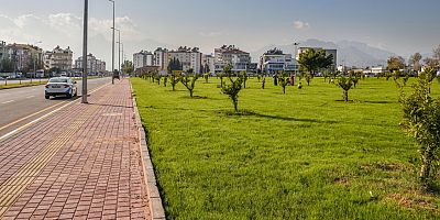 Kepez moloz alanı yemyeşil bir bahçeye dönüştürdü