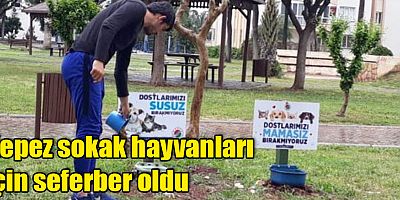 Kepez sokak hayvanları için seferber oldu