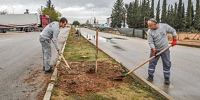 Kepez tarihi mirasıyla yeşilleniyor