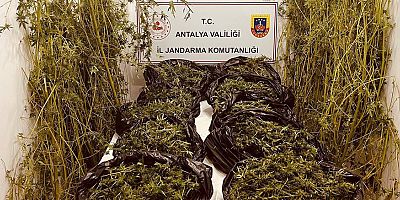 Kepez ve Aksu İlçelerinde Uyuşturucu Operasyonu