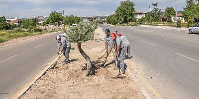 Kerkük Caddesi’nde peyzaj çalışması