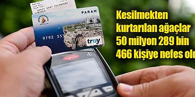 Kesilmekten kurtarılan ağaçlar 50 milyon 289 bin 466 kişiye nefes oldu