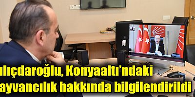 Kılıçdaroğlu, Konyaaltı’ndaki hayvancılık hakkında bilgilendirildi