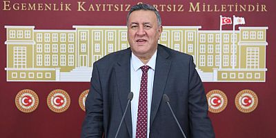 Kiralık araç firması 19 bin 500’ü geçti