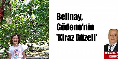 Kiraz Hasadında Sona Gelindi