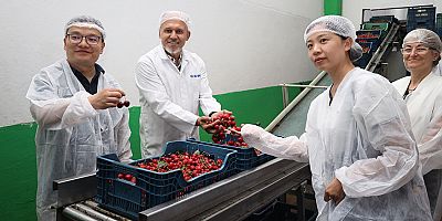 Kiraz ihracatında 2025 yılının yaraları sarıldı