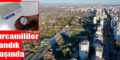 Kırcamililer sandık başında