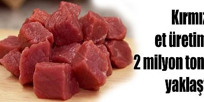 Kırmızı et üretimi 2 milyon tona yaklaştı