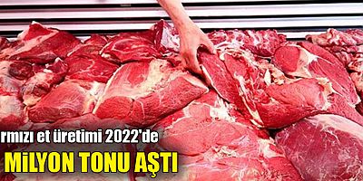 Kırmızı et üretimi 2022'de 2 milyon tonu aştı