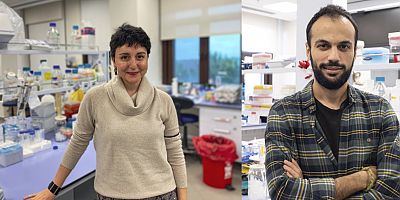 Koç Üniversitesi araştırmacıları Covid-19 ile mücadeleyi yeni bir molekülle ateşliyor