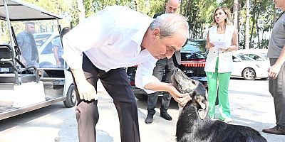 Kocagöz, “Türkiye’ye örnek Hayvan Barınağı Projesi Kepez’de hayata geçiyor”