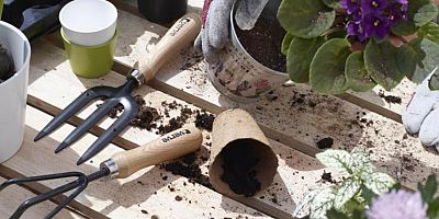 Koçtaş uzmanları yanıtlıyor: Saksı değişimi nasıl yapılır?