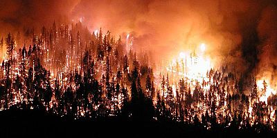 Konsey orman yangınlarına karşı uyardı