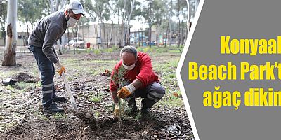 Konyaaltı Beach Park’ta ağaç dikimi