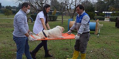 Konyaaltı Belediyesi'nden hayvan bakım ve hijyen eğitimi