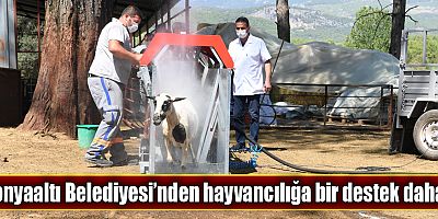 Konyaaltı Belediyesi’nden hayvancılığa bir destek daha...
