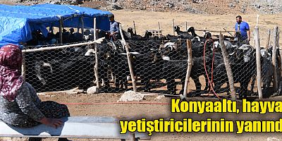 Konyaaltı, hayvan yetiştiricilerinin yanında